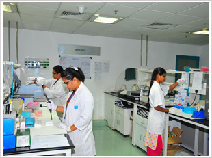 L & T Microbiology Research
